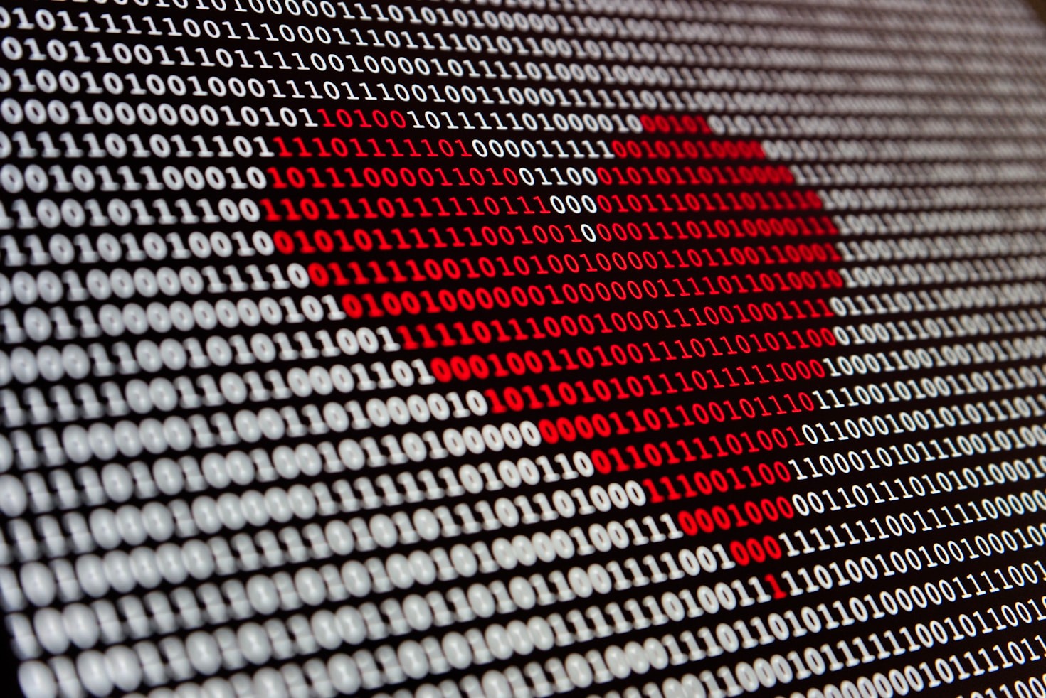The Beginner’s Guide to Embracing AI at Any Age
